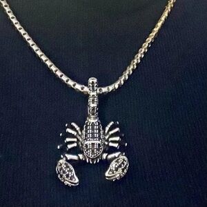 Anthro Men’s Pendant Scorpion Black Fashion Jewelry 925 Sterling Silver Rebel
